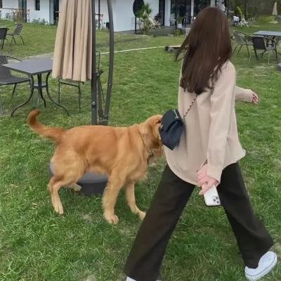 散漫的女人